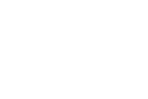 The image shows the Ford logo, featuring the word "Ford" in white script inside an oval shape, set on a light grey background. - TrenStar