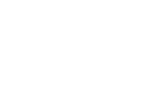 White letters spelling "DSV" on a light grey background. The letters are bold and stylised, with the "S" and "V" connected in a minimalist, modern design. - TrenStar
