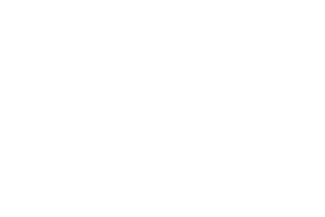DSV_