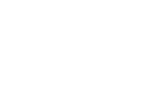 White ISUZU logo in bold, uppercase, sans-serif letters on a light grey background. - TrenStar