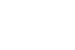White logo text “Lóna” on a light grey background, with a stylised leaf replacing the accent over the letter "o". - TrenStar