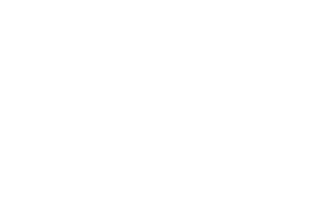 White block letters spelling "MAHLE" on a light grey background. The text is in a bold, geometric font with all capital letters. - TrenStar